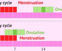 When Do You Ovulate