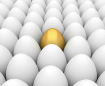 Improve Egg Quality