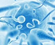 Vitamins to Increase Male Fertility