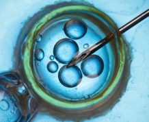 Cheap IVF