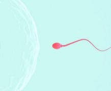 Male Infertility Problems