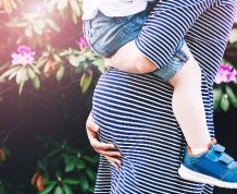 Stages of Pregnancy