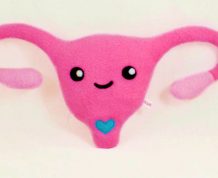 premature-ovarian-aging-poa
