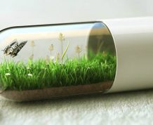 Natural Pills to Take to Get Pregnant