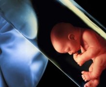 test-tube-baby
